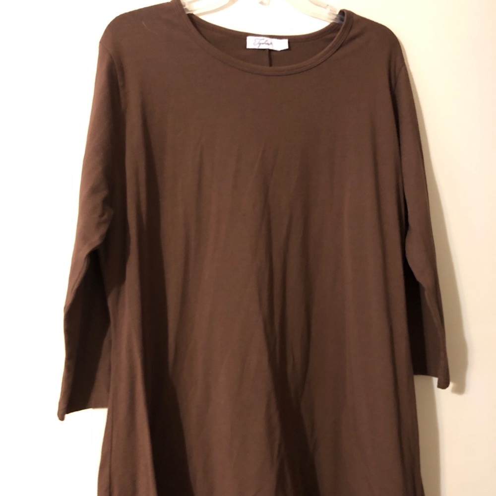 Brown Tunic Top